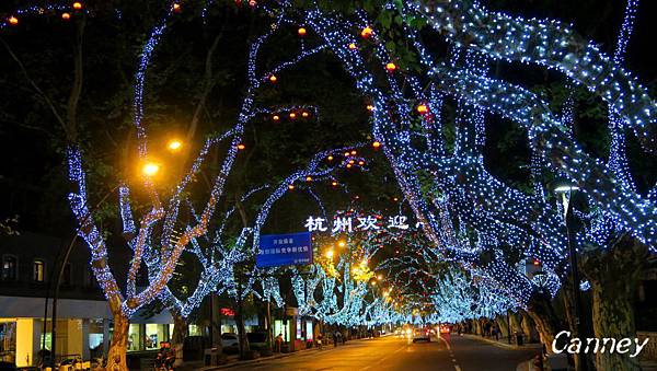 IMG0519.jpg IMG0519.jpg