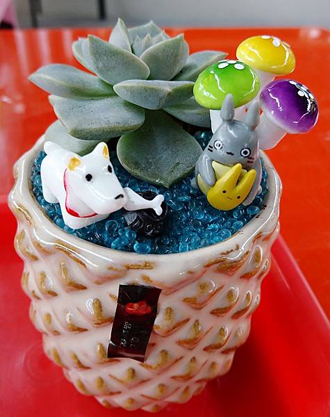 DSC_9049_mh1492399213827 (1) DSC_9049_mh1492399213827 (1)