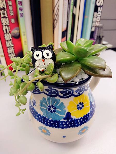 DSC_9302_mh1492398812192 DSC_9302_mh1492398812192