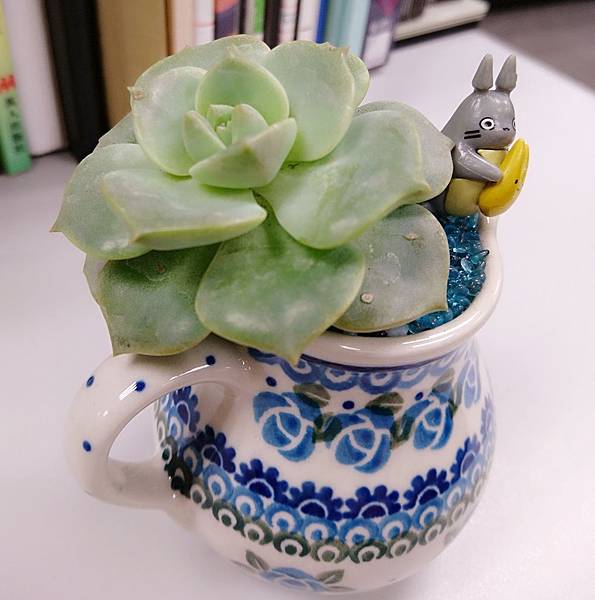 DSC_9314_mh1492398946776 DSC_9314_mh1492398946776