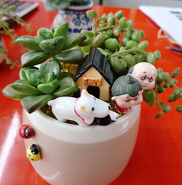 DSC_9227_mh1492399129582 DSC_9227_mh1492399129582