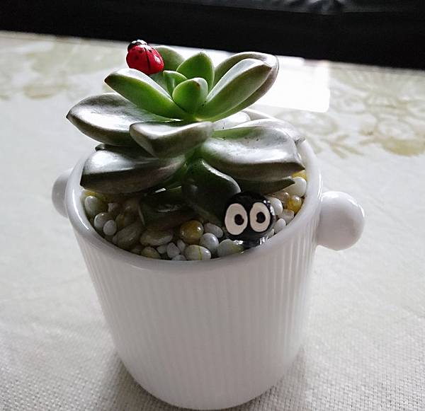 DSC_0090_mh1496123950140.jpg DSC_0090_mh1496123950140.jpg