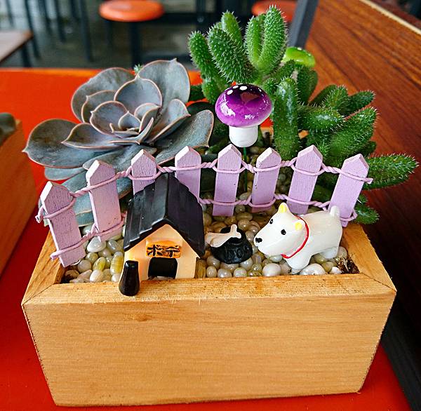 DSC_0023.jpg DSC_0023.jpg