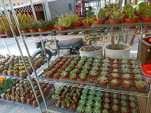 DSC_9029.JPG DSC_9029.JPG