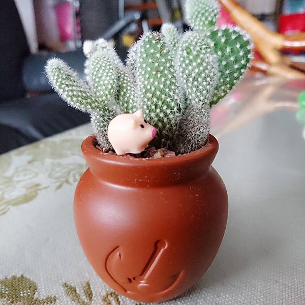 DSC_0041_mh1497774042171.JPG DSC_0041_mh1497774042171.JPG