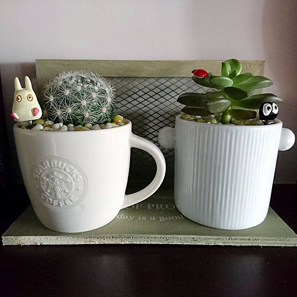 DSC_0252_mh1497219260231.JPG DSC_0252_mh1497219260231.JPG