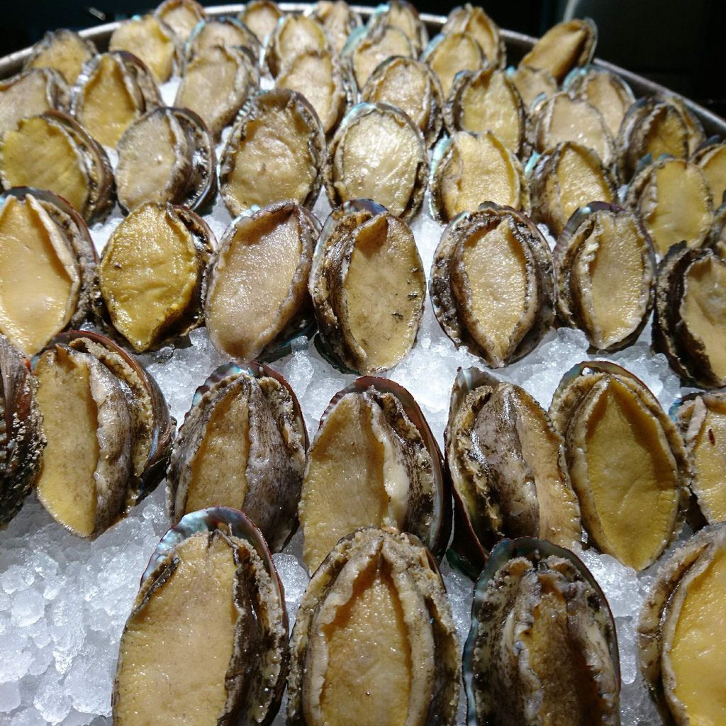 0712026.jpg 0712026.jpg