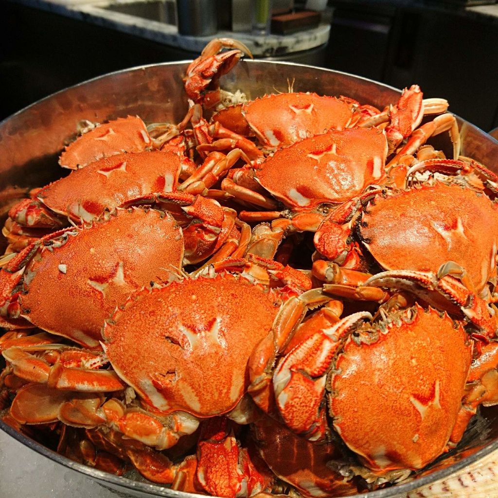 0712041.jpg 0712041.jpg