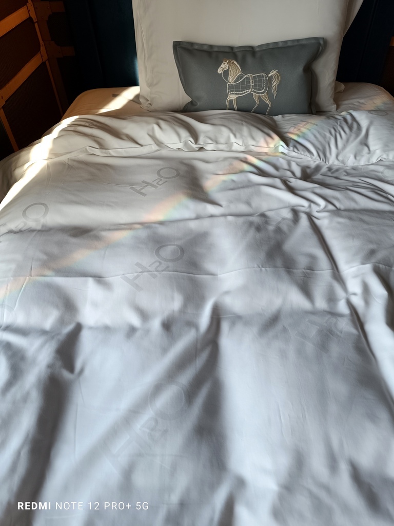 舒適如同在家一般自在的高雄水京棧國際酒店(H2O Hotel