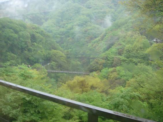 搭乘箱根登山電車時所攝之山景