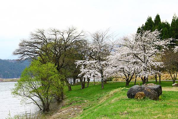 準備野餐