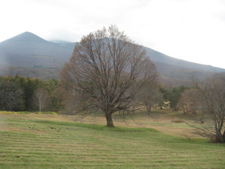 八甲田山