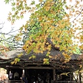 三千院