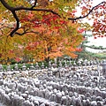 化野念仏寺