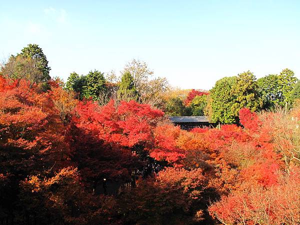 東福寺