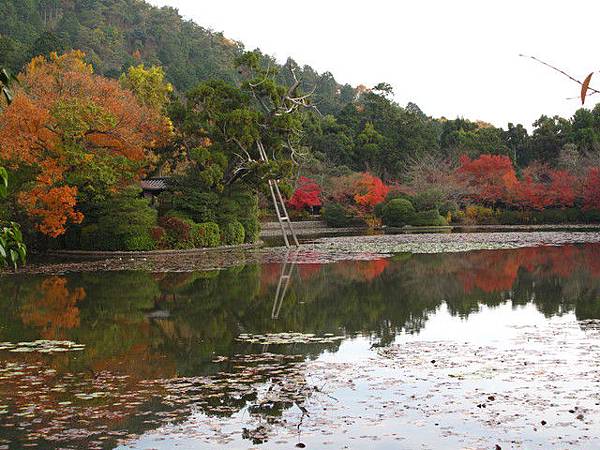 09狩獵京都 鏡容池 不曾遺忘的歲月 痞客邦 09狩獵京都 鏡容池 不曾遺忘的歲月 痞客邦