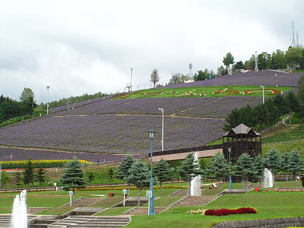 遙望町營ラベンダー園