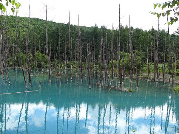 青い池