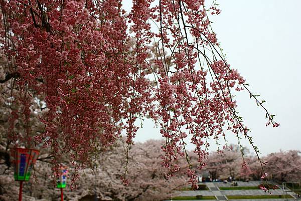 天童公園