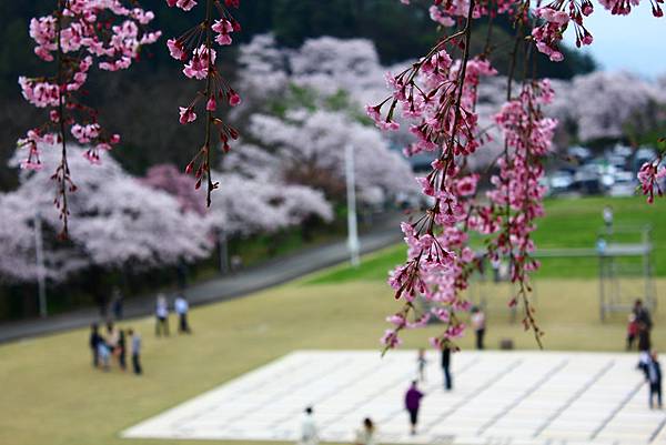 天童公園