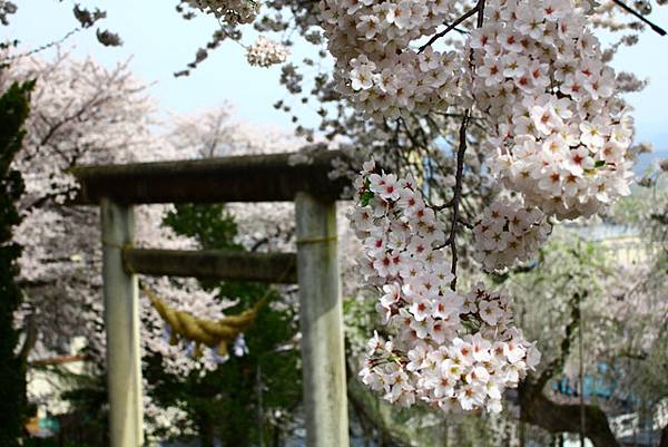 烏帽子山公園