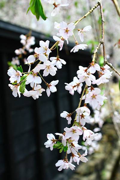 武家屋敷