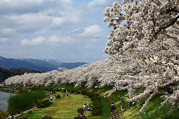 桧內川堤