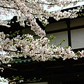 東門