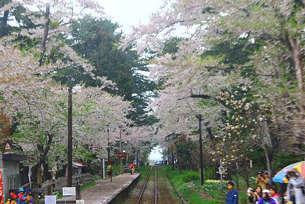 芦野公園