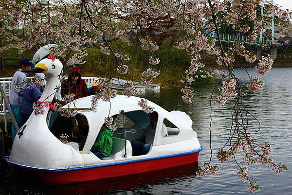 芦野公園