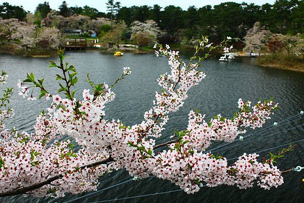 芦野公園