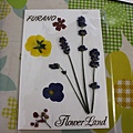 18.Flower Land (2)