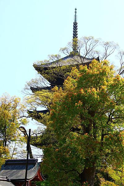 東寺