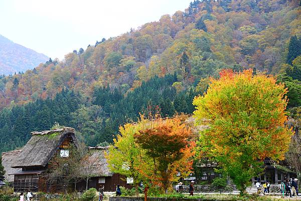 合掌村