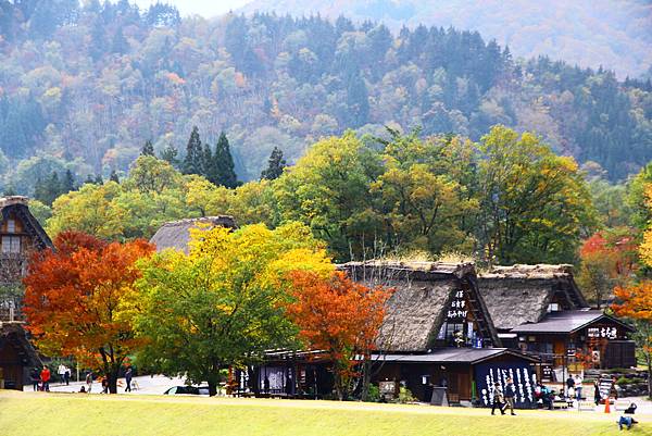 合掌村