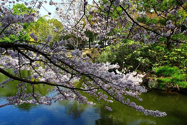 奈良公園