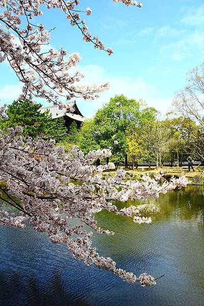 奈良公園