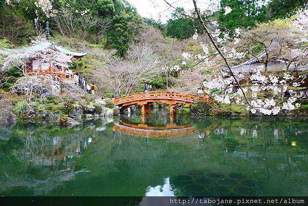 4/3 醍醐寺