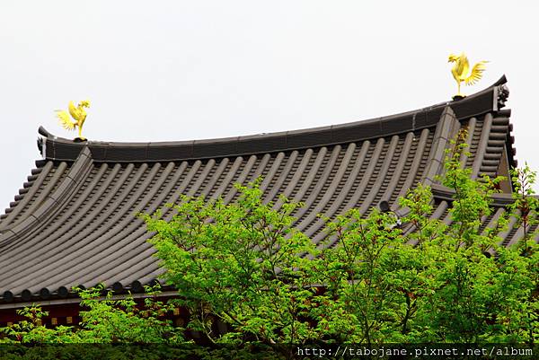 4/6 平等院