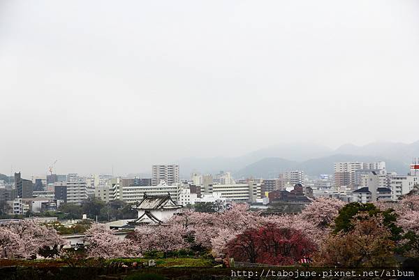 4/4 姫路城