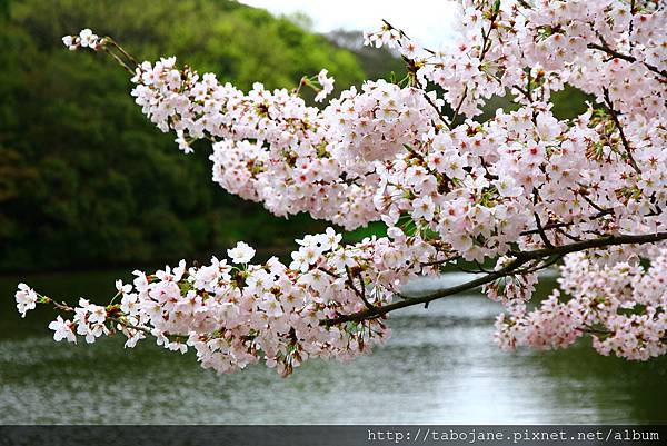 4/4 明石公園