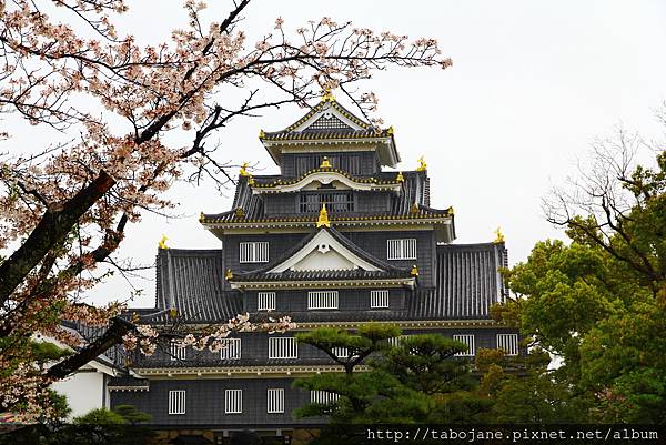 4/7 岡山城