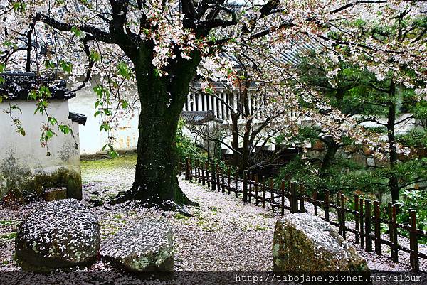 4/7 岡山城