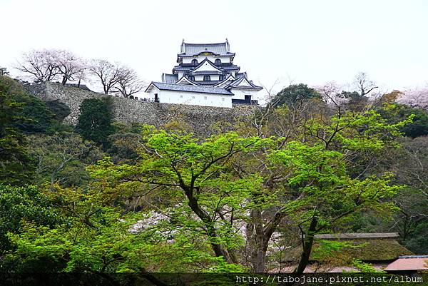 4/8 彦根城