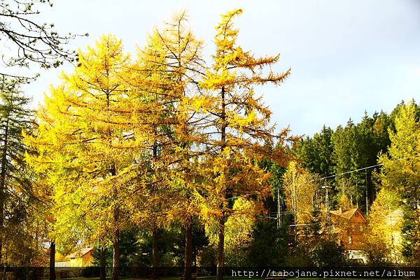 10/30 Schluchsee