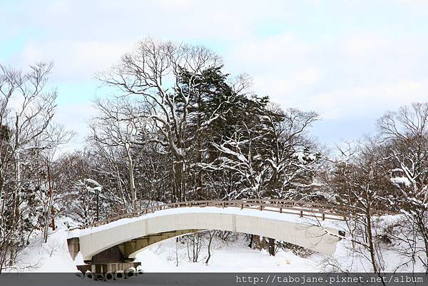 1/29 大沼公園