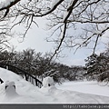 1/29 大沼公園