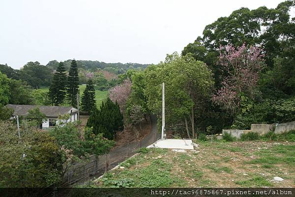 歸一繁殖中心景色三