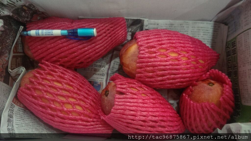 玉文芒果 玉文芒果