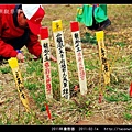 2011l林邊割香_16.jpg